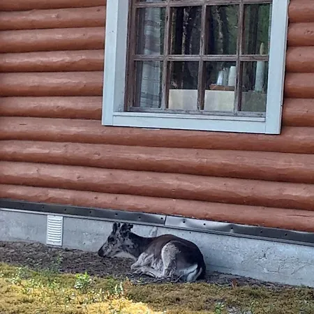 Eraemoekki Aitala, Posio Alpesi faház *